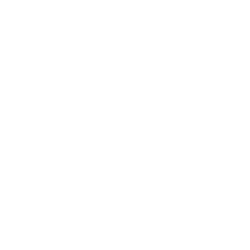 Limitless MGMT